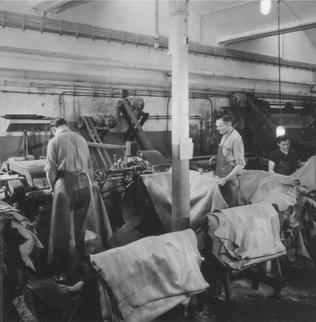 Leather skins are dried and prepared for Hepco's belt production. Probably end of the 1930s.